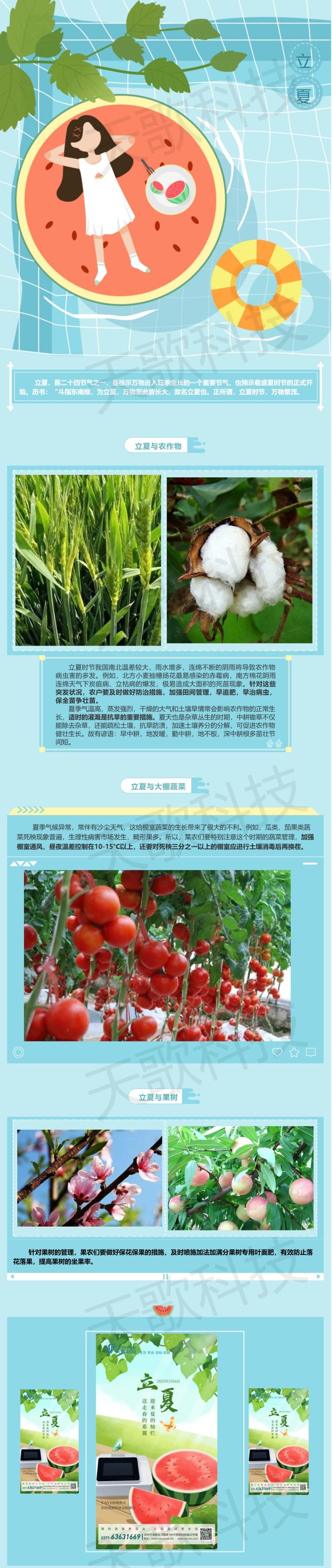 立夏_送走春的希冀，迎來夏的燦爛.jpg