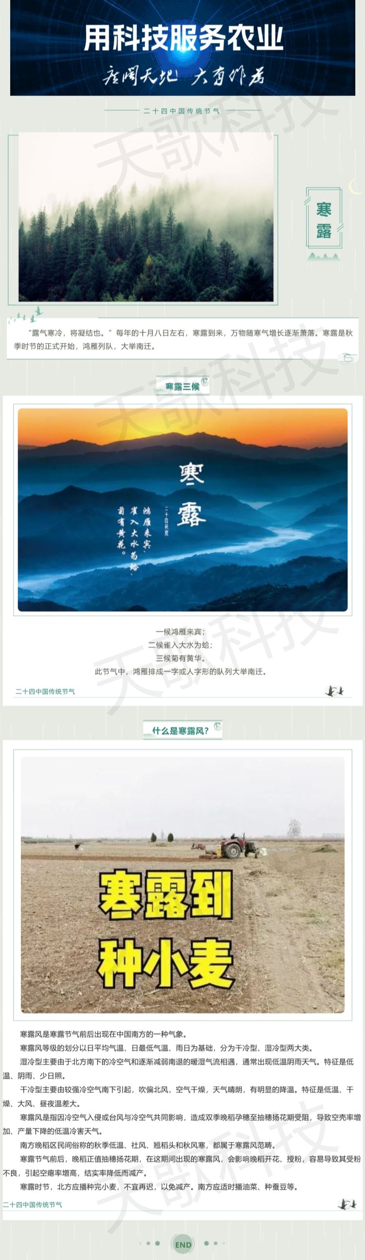 今日寒露：那什么是寒露風(fēng)？.jpg
