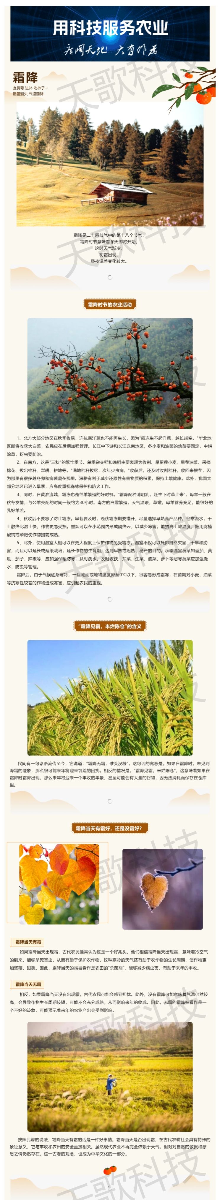 今日霜降：“霜降見霜，米爛陳倉”，那到底有霜好還是無霜好？.jpg