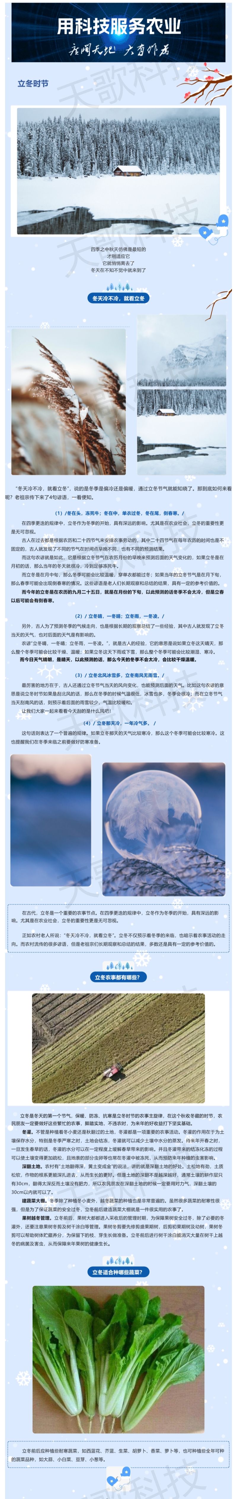 今日立冬_老人說“冬天冷不冷，就看立冬”，那今年冬季到底冷不冷？.jpg