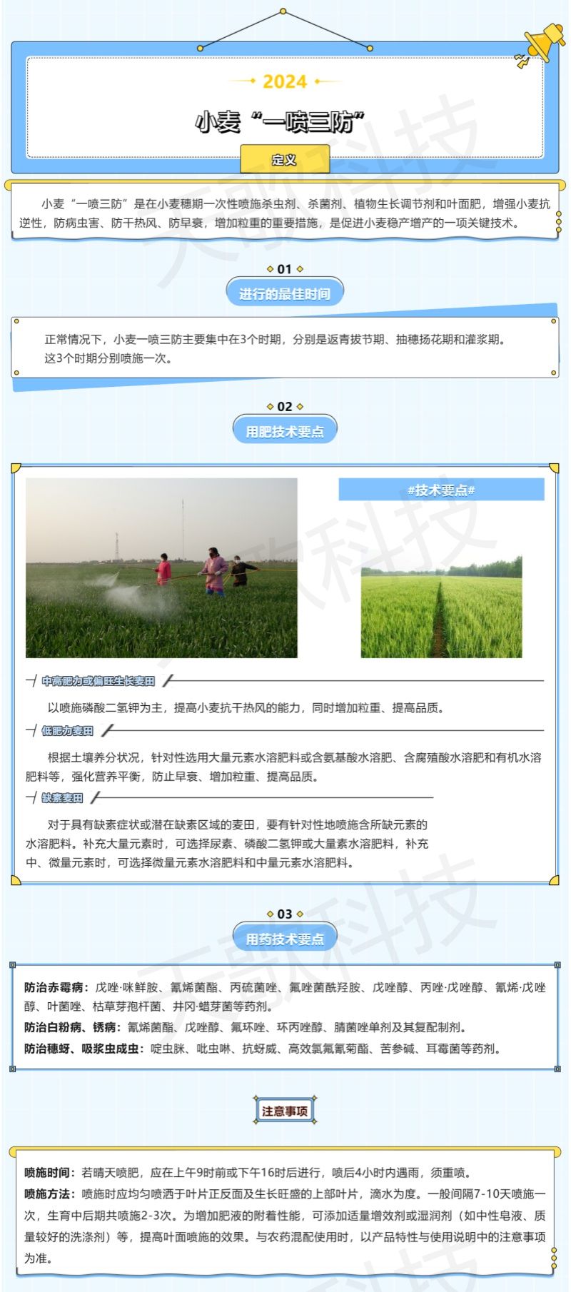 農(nóng)技分享_什么是小麥“一噴三防”？技術(shù)要點(diǎn)都有哪些？-加水印.jpg